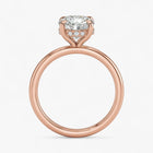 The Timeless Hidden Halo Engagement Ring | Round