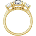 The Signature 3-Stone Engagement Ring | Round | 3 CTW
