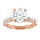 The Iconic Hidden Halo Engagement Ring | Round | 2 ½ CTW