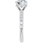 The Iconic Hidden Halo Engagement Ring | Round | 2 ½ CTW