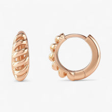 The Ridge Earrings