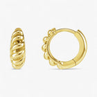 The Ridge Earrings