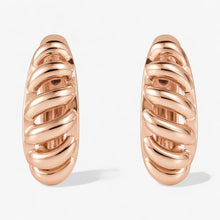 The Ridge Earrings