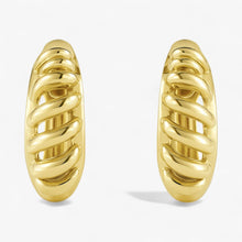 The Ridge Earrings