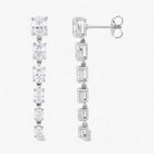 The Oval Dangle Earrings