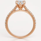Loravie In Pear