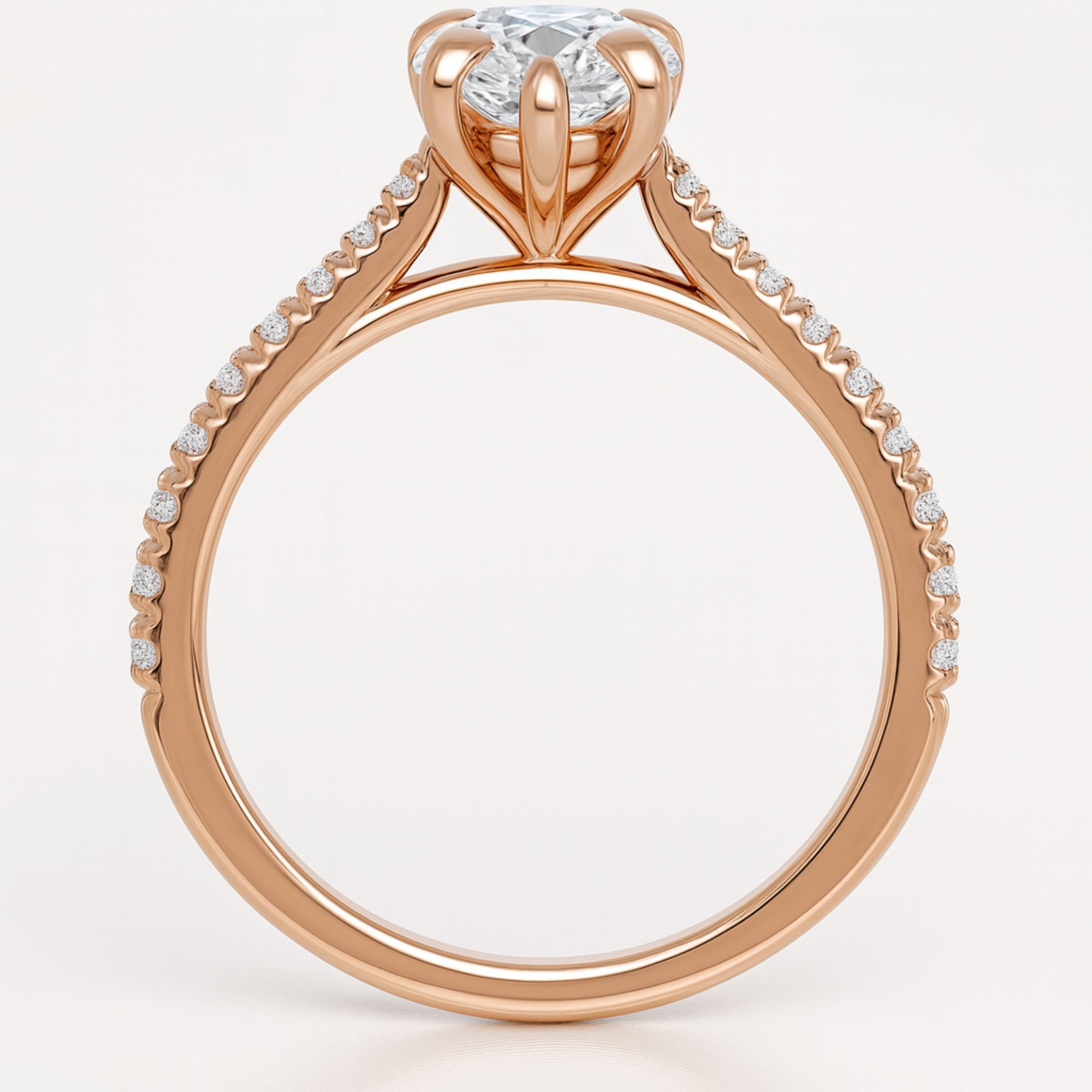 Loravie In Pear