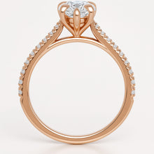 Loravie In Pear