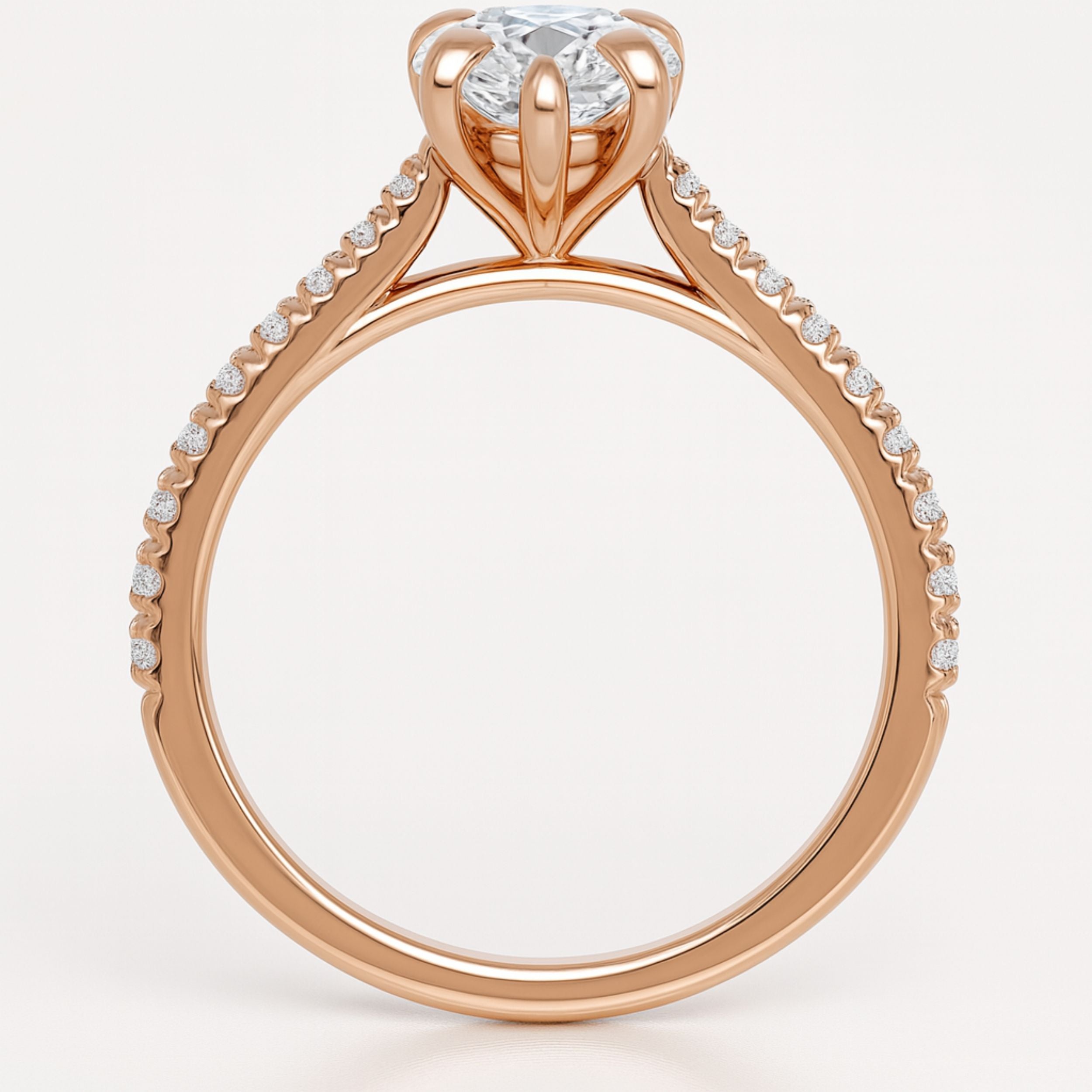 Loravie In Pear
