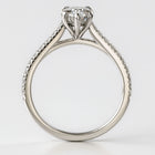 Loravie In Pear