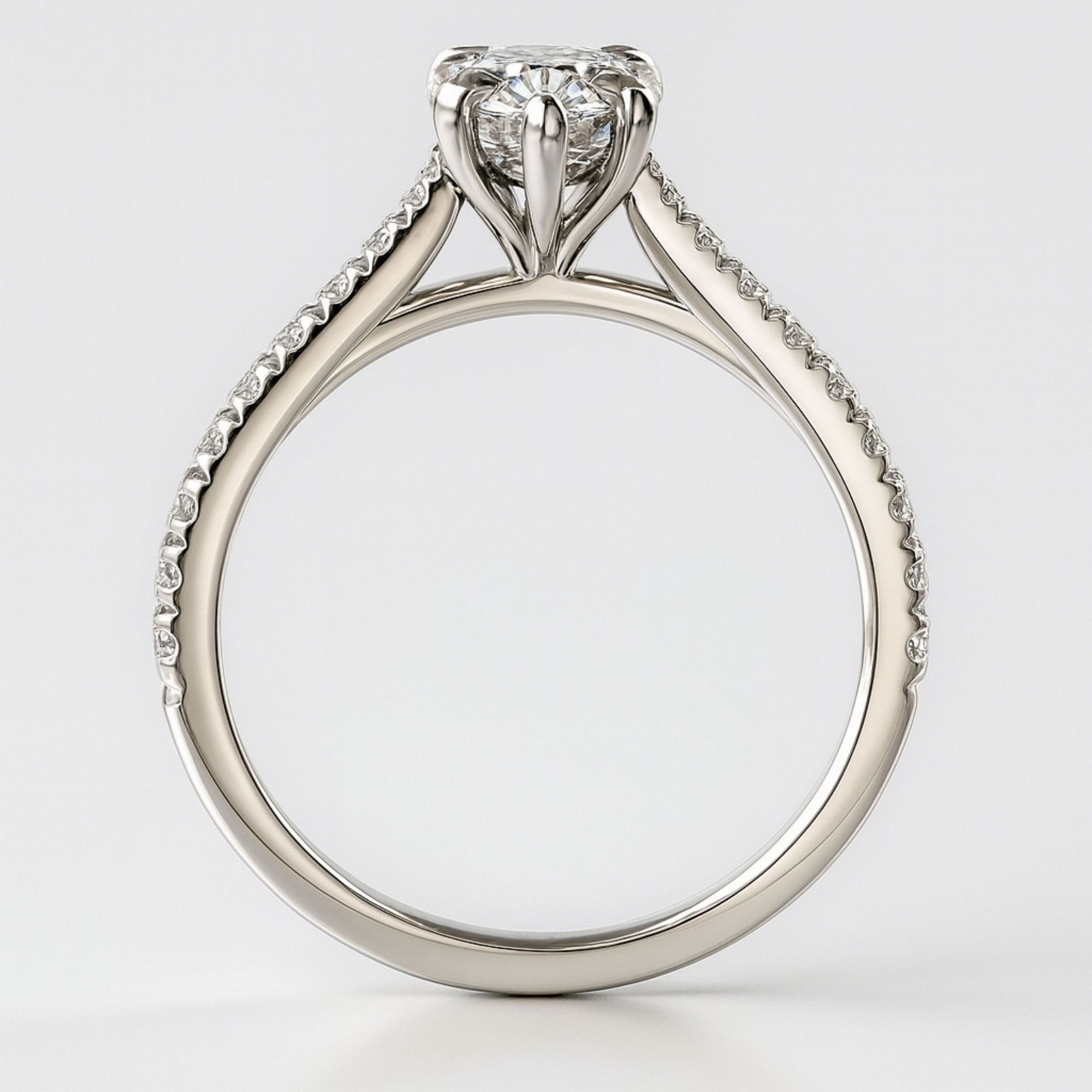 Loravie In Pear