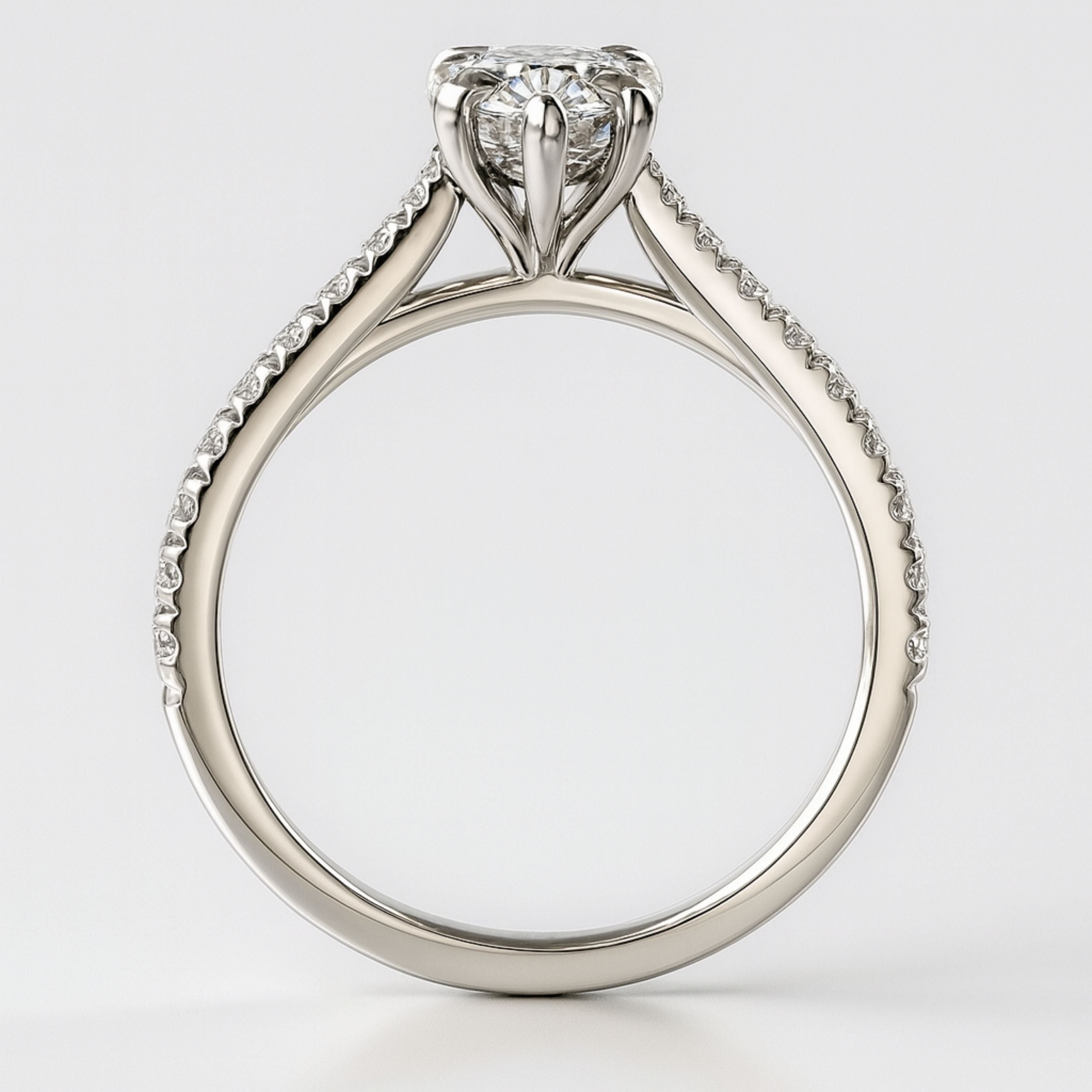 Loravie In Pear