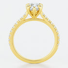 Loravie In Pear