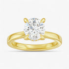 The Timeless Hidden Halo Engagement Ring | Round