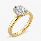 The Timeless Hidden Halo Engagement Ring | Oval