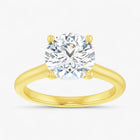 The Timeless Cathedral Solitaire Engagement Ring | Round