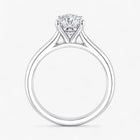 The Timeless Cathedral Solitaire Engagement Ring | Pear