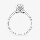 The Signature Cathedral Solitaire Engagement Ring | Oval