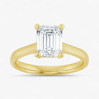 The Signature Cathedral Solitaire Engagement Ring | Emerald