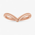 The Classic Contour Band