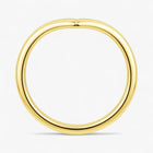 The Classic Contour Band